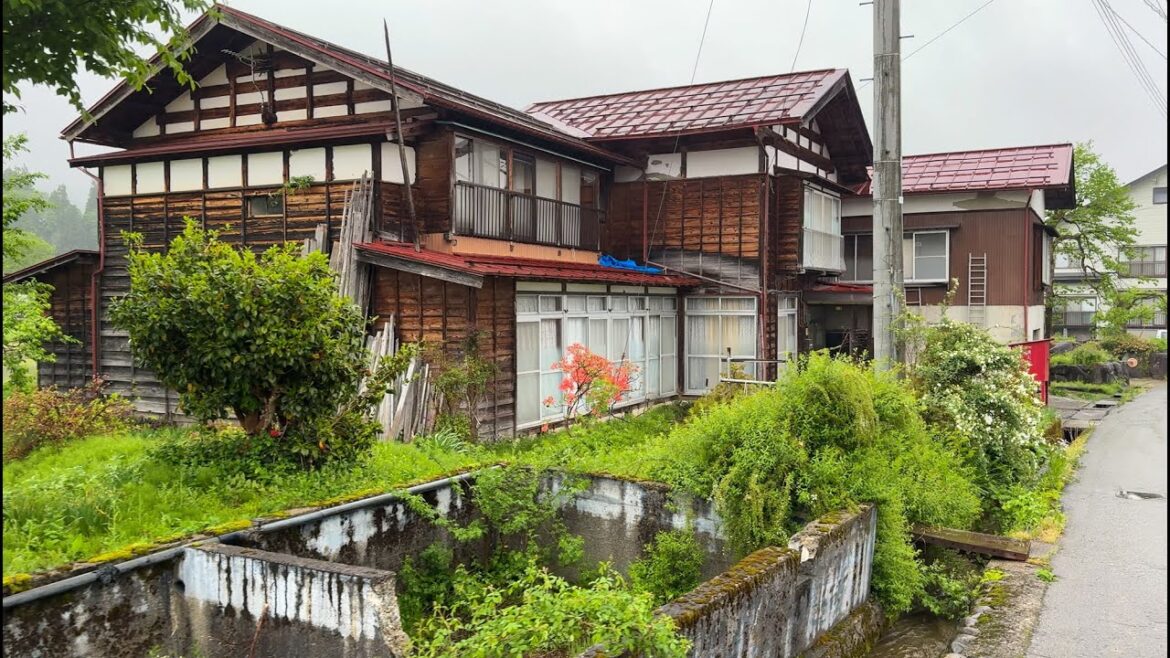 Japanese countryside Ishiuchi walk (Niigata) //4K
