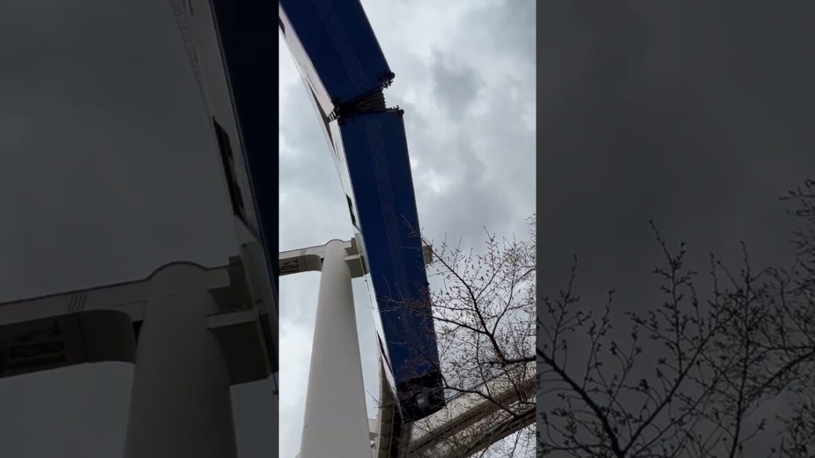 Chiba Urban Monorail, Part 2 #travel #japan #chiba #monorail