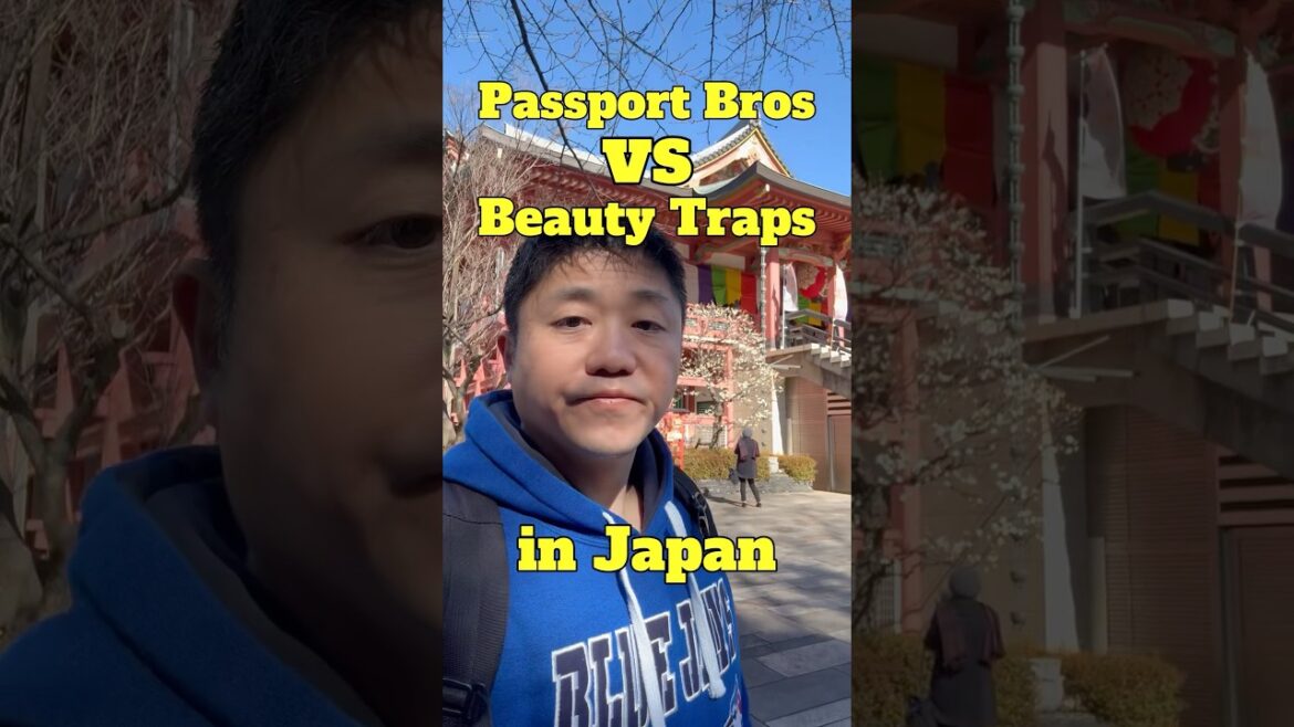 Passport Bros vs Beauty Traps in Japan ➡️Tokyo Shinjuku Walking Tour⬅️ Passport Bros vs Beauty Traps in Japan ➡️Tokyo Shinjuku Walking Tour⬅️