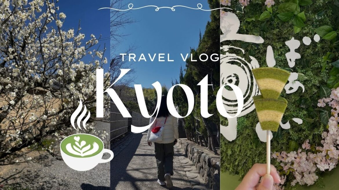 Kyoto Travel Vlog | Arashiyama Bamboo Forest, Fushimi Inari, Shopping for more Chiikawa