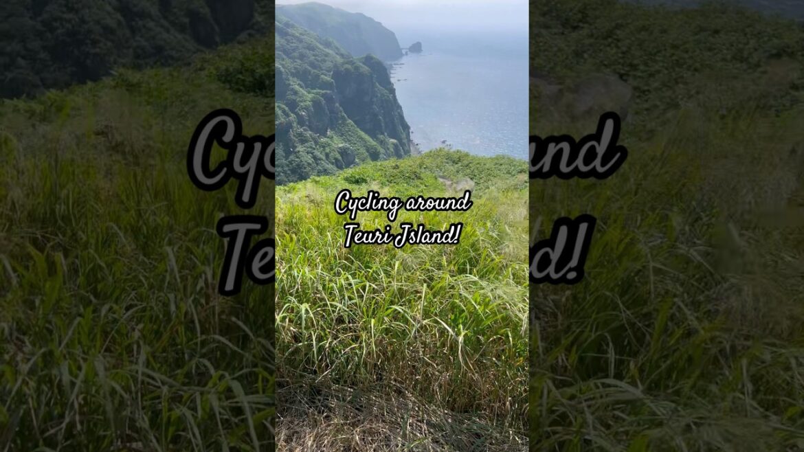 We went cycling around Teuri Island, Hokkaido! #japan #travel #hokkaido #japantravel #birds #cycling We went cycling around Teuri Island, Hokkaido! #japan #travel #hokkaido #japantravel #birds #cycling