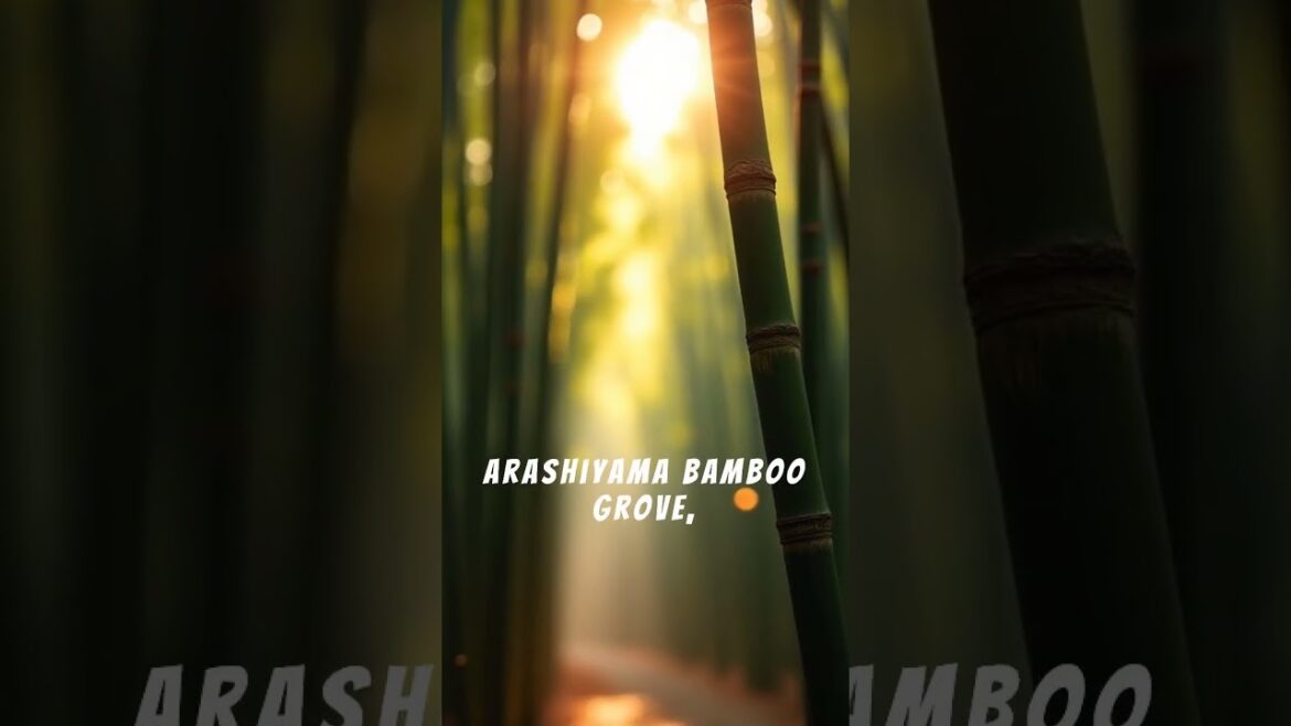 Unique Travel Destinations in Japan #travel #history