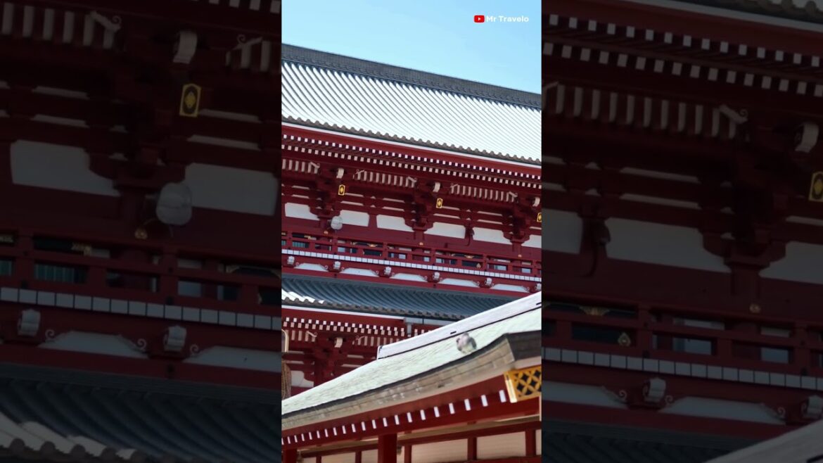 Sensoji Temple – Where Time Stands Still ⛩️  | Travel Video 4K