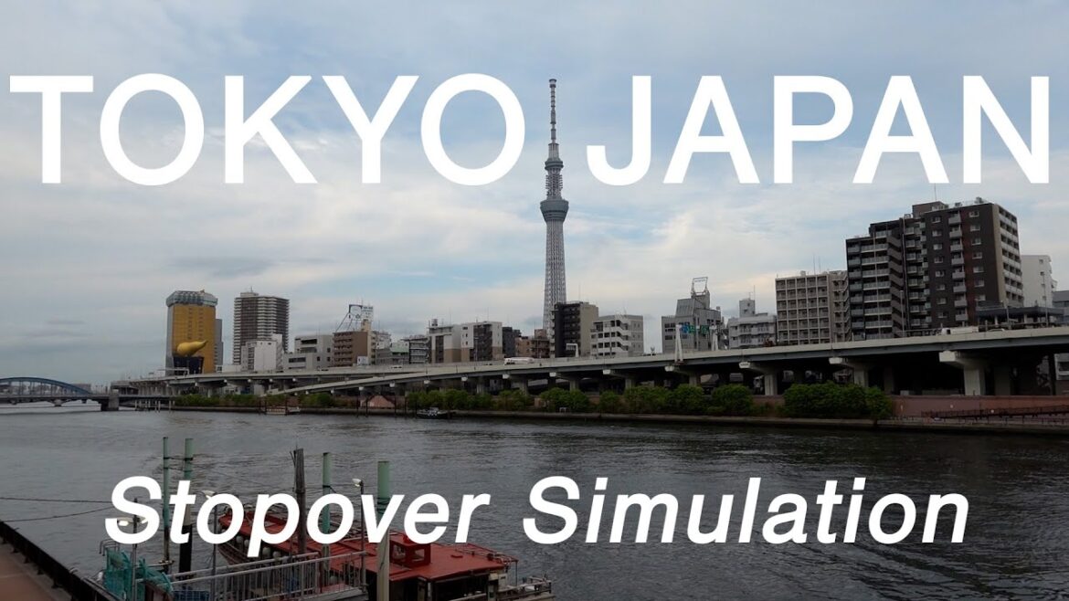 29-Hour Tokyo Japan Stopover Simulation by Local (POV Vlog)