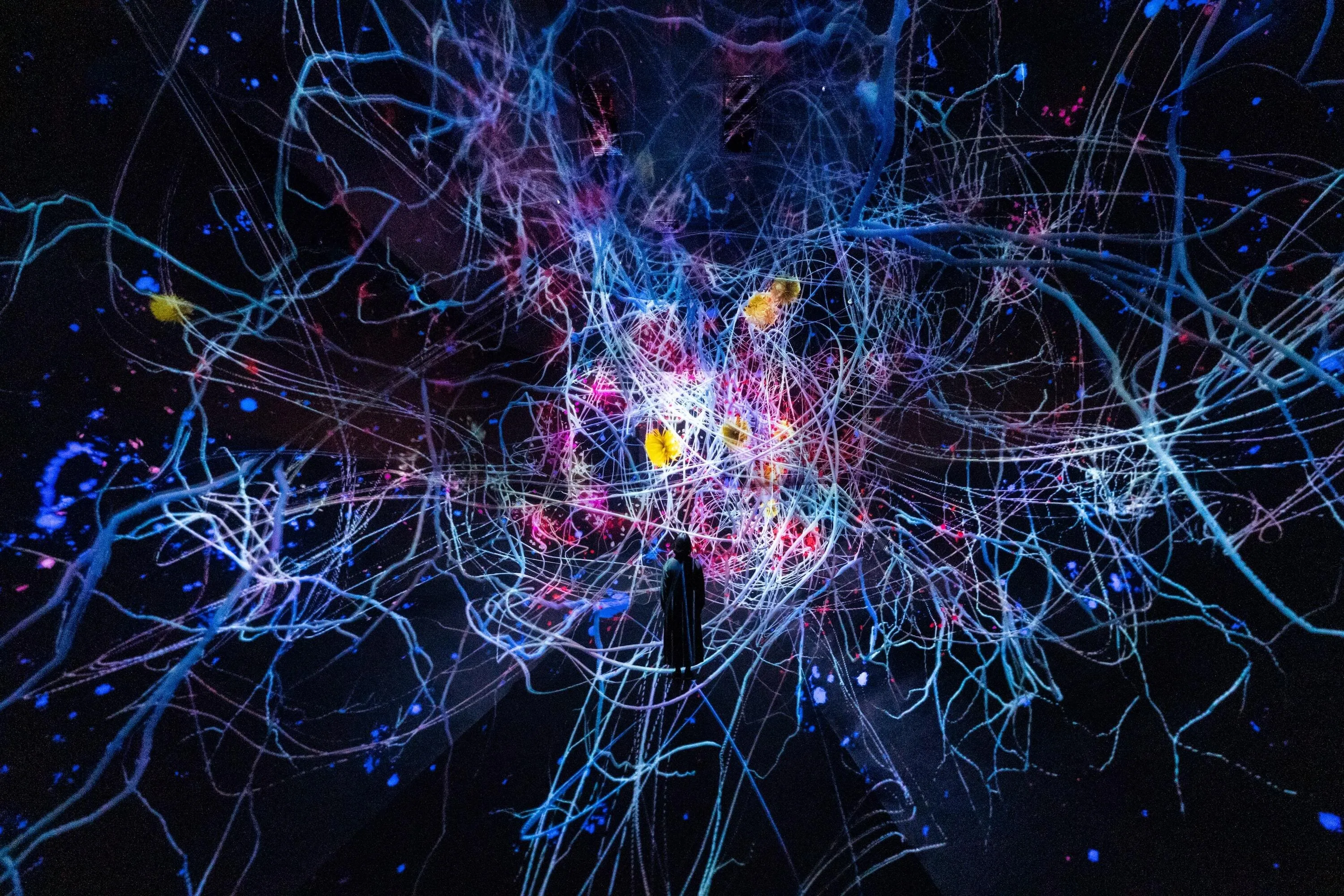 teamLab Biovortex Kyoto – Traces of Life