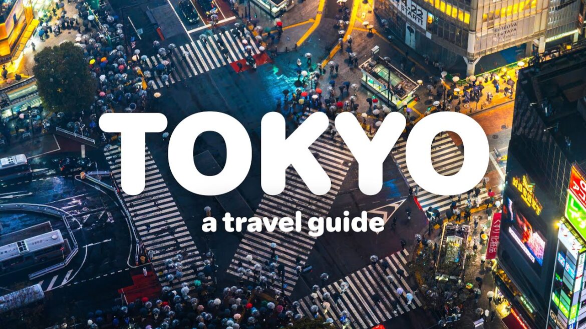 Tokyo Travel Guide - The Best Things to do in Tokyo