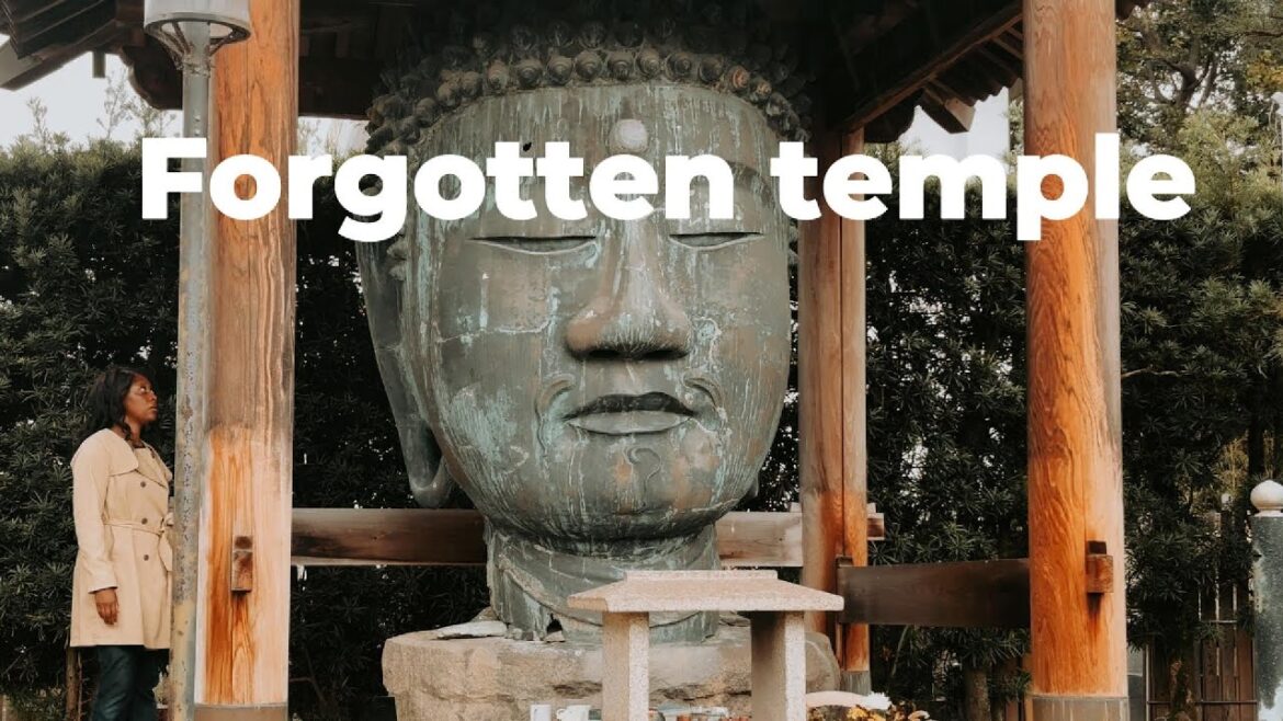 Japan Hidden Gems visit to Wakayama Japan Hidden Gems visit to Wakayama