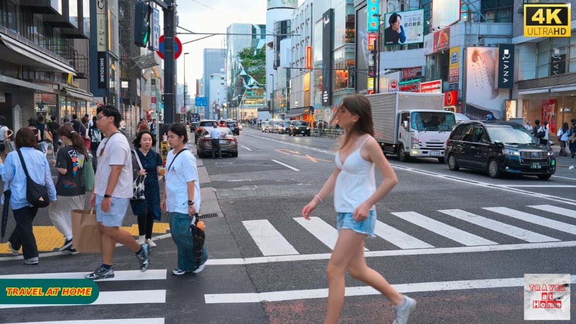 4K HDR Japan travel 2025 | Walk in Harajuku（原宿）Tokyo Japan |  Relaxing Natural City ambience