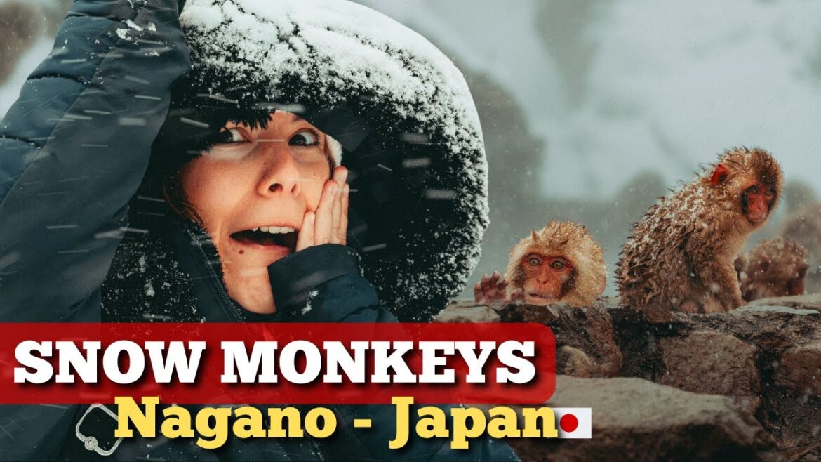 SNOW MONKEYS in Hot Springs?! Exploring Nagano in 4 Days 🇯🇵 (Full Guide)