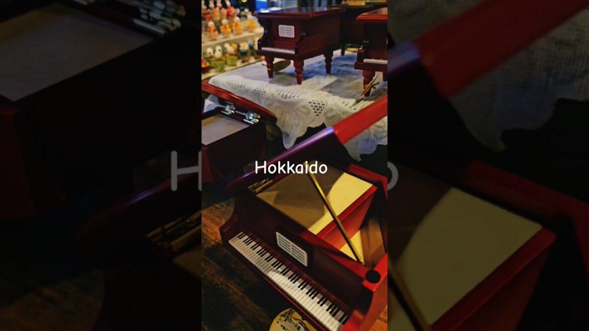 四季彩の丘 #ShikisainoOka #사계채의언덕 #삿포로 #sapporo #tour #일본 #北海道 #Hokkaido #travel #여행 #관광 #healing #힐링 #꽃