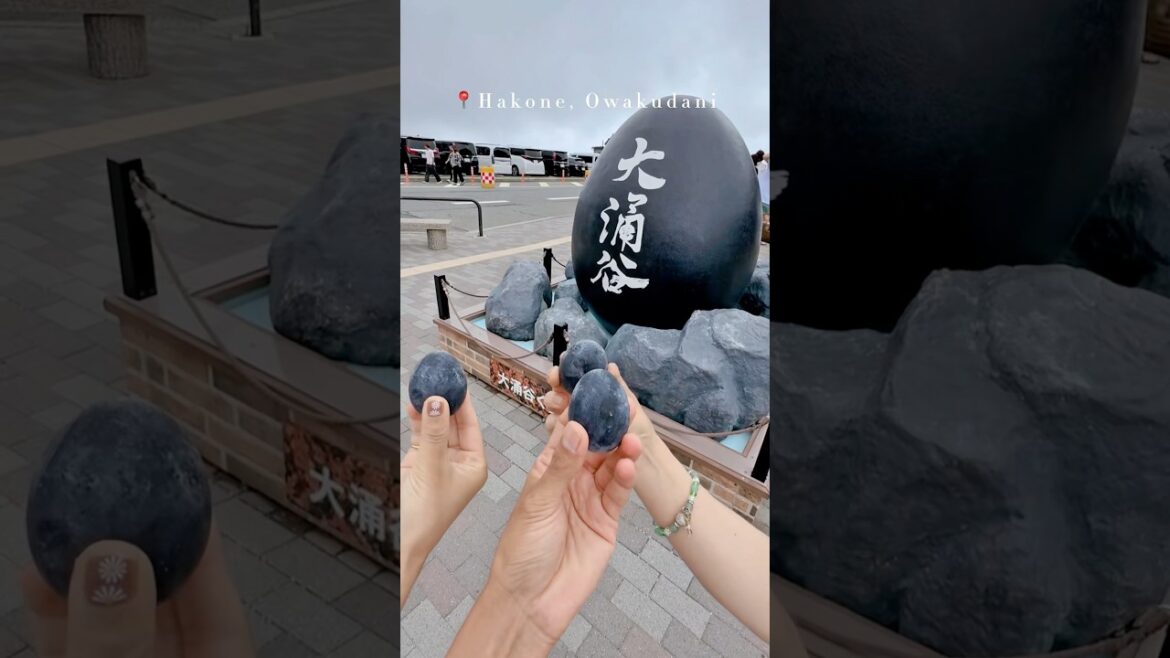 📍Hakone, Owakudani | Kuro-Tamago 🇯🇵#hakone #travel #shorts #japan #ropeway #viral #blackegg