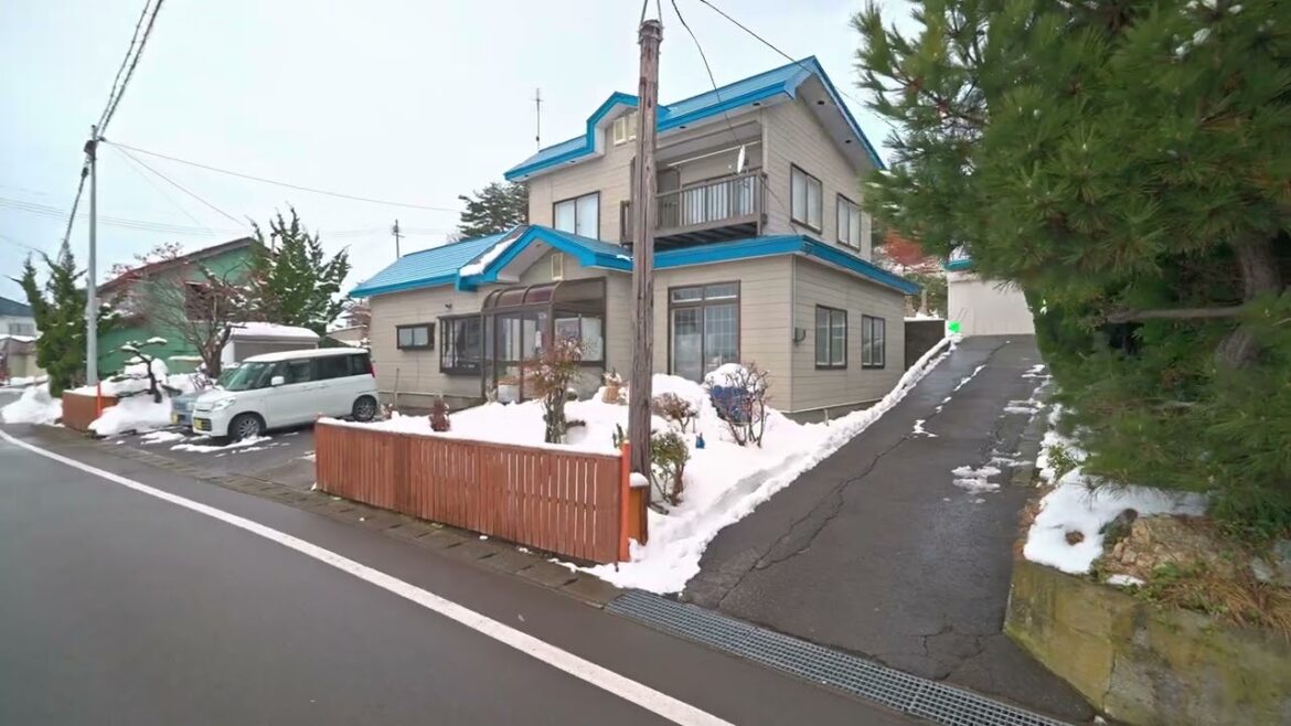 Snowy flight, walk and BBQ train ride in Aomori, Japan 2025 • 4K (remastered) Snowy flight, walk and BBQ train ride in Aomori, Japan 2025 • 4K (remastered)