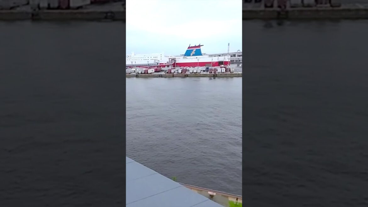 【TOTTEI KOBE】 #神戸 #休日vlog #おでかけvlog #shorts #glionarenakobe #totteipark  #youtubeshorts #travel #旅行