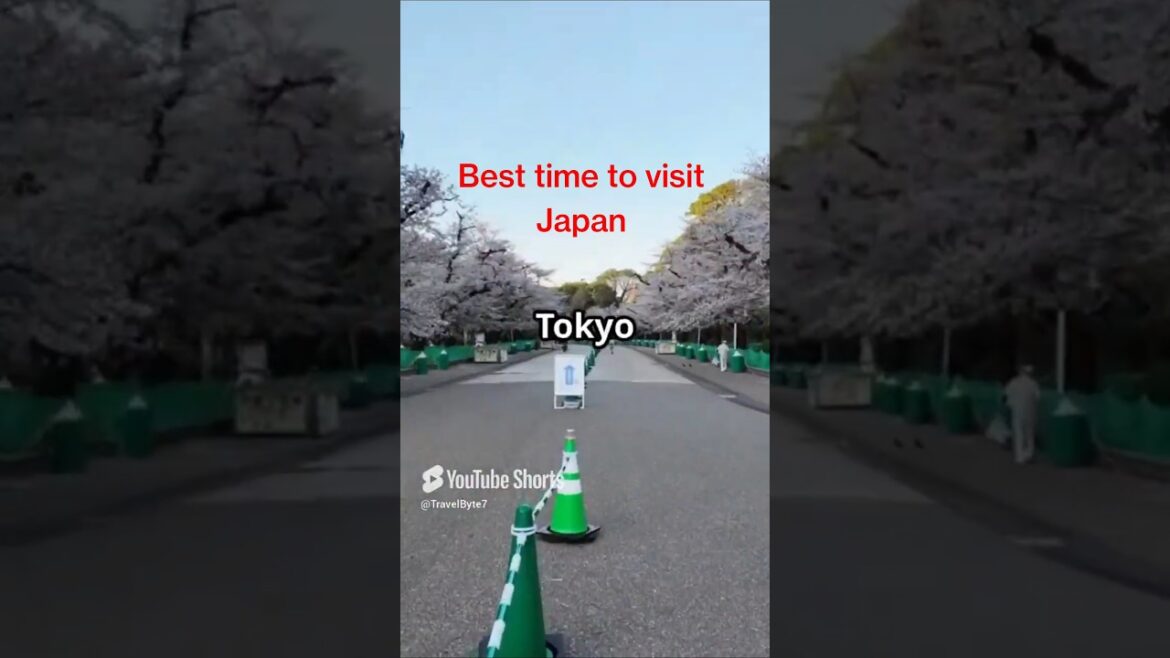 Best Time to Visit Japan 🇯🇵 | Explore Japan’s Seasons in 60 Seconds!