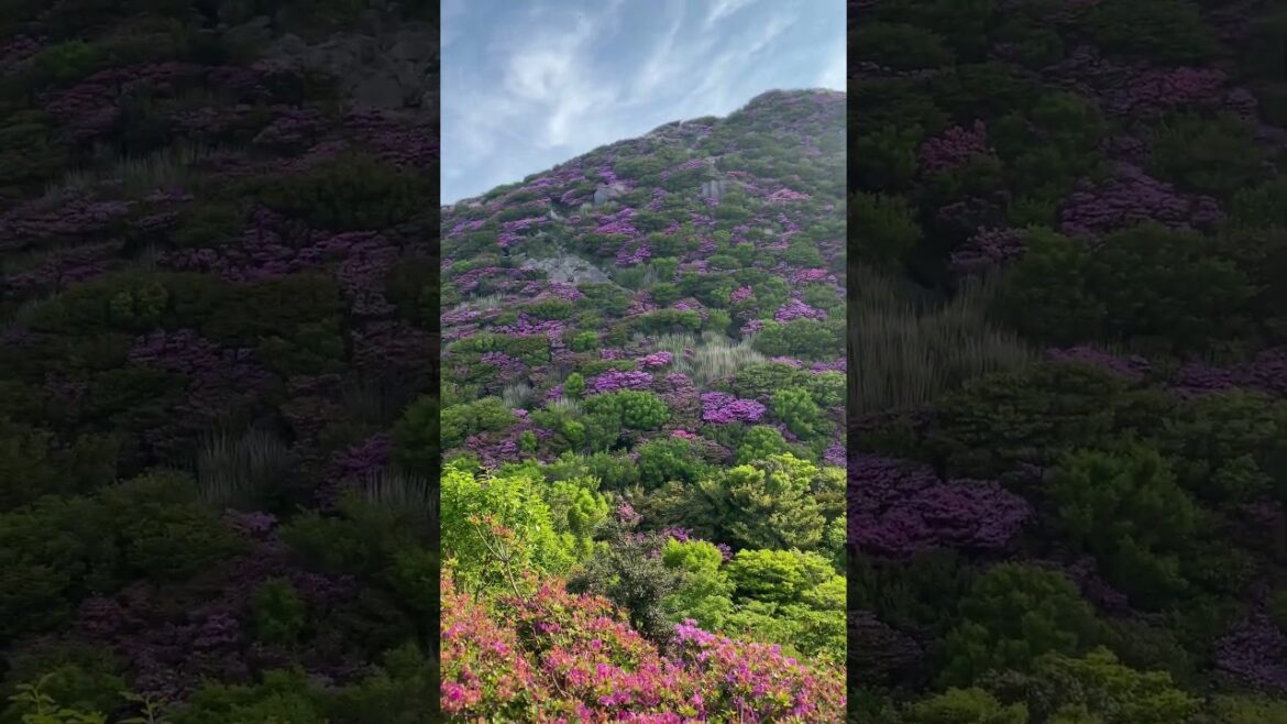 Gunung Unzen, Nagasaki #hiking