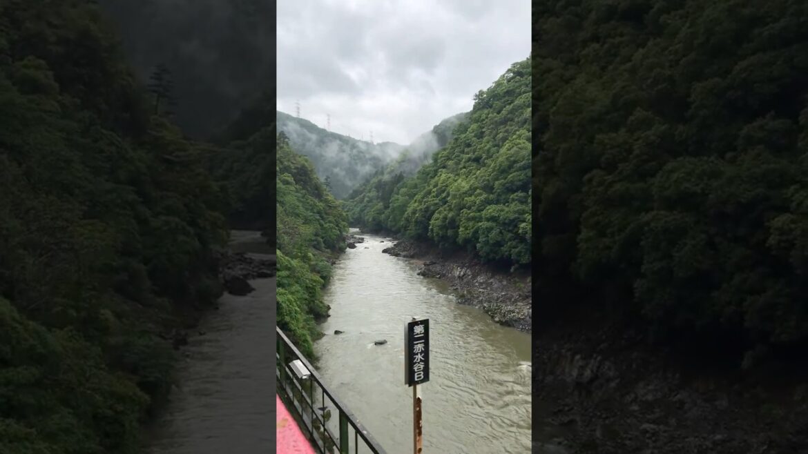 Scenic Rail Kyoto🇯🇵 #japan #kyoto #scenicviews #railway #reels #youtubeshorts #asmr #fyp #trending
