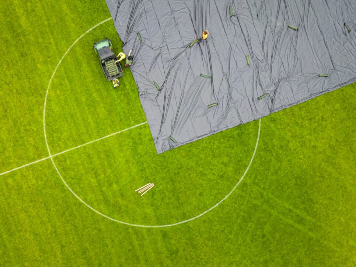 Japanese beetle warning issued in Switzerland Japanese beetle warning issued in Switzerland