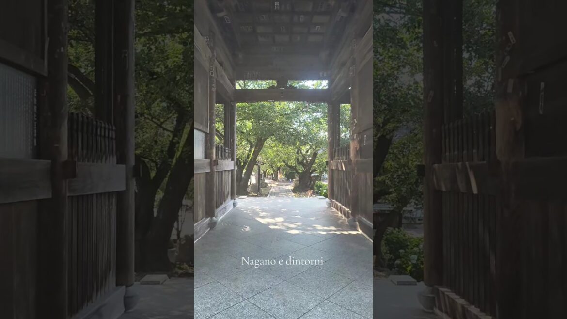 Nagano e dintorni #japantravel #nagano
