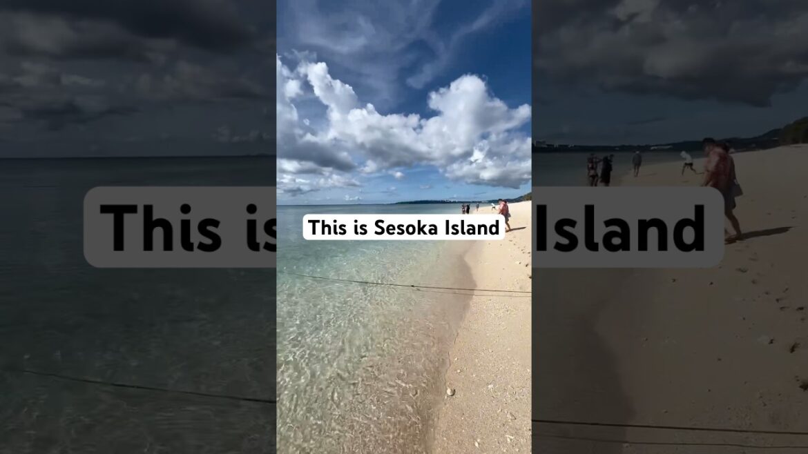 Paradise #travelvloggers #travel #sesokaisland #japan #okinawa #okinawabeach