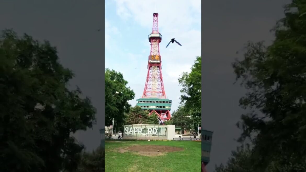 Sapporo Tower in Hokkaido #tower #sapporo #hokkaido #travel #tour #short #shorts