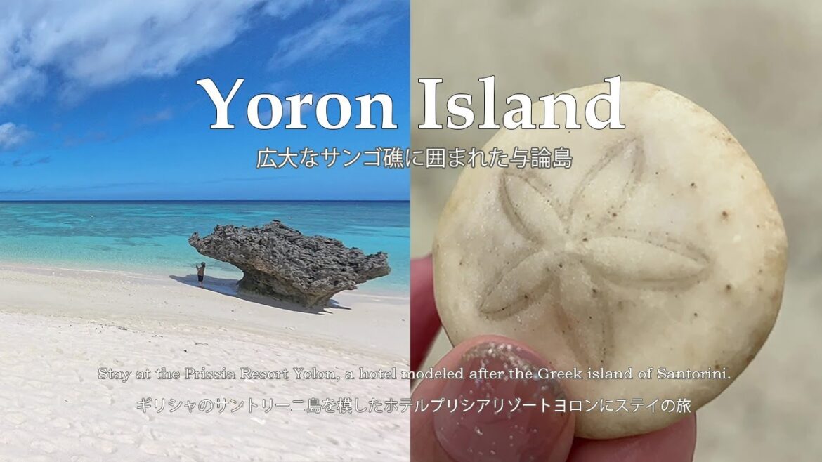 「与論島の絶景めぐり女子旅後編|幻の百合ヶ浜上陸・サンセットクルーズ・那覇寄り道旅」#2  #与論島 #プリシアリゾートヨロン 「与論島の絶景めぐり女子旅後編|幻の百合ヶ浜上陸・サンセットクルーズ・那覇寄り道旅」#2  #与論島 #プリシアリゾートヨロン