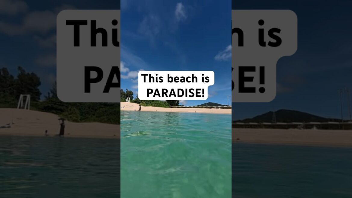 Okinawa 😍 #travelvloggers #travel #japan #okinawa #nabeebeach #bestbeach