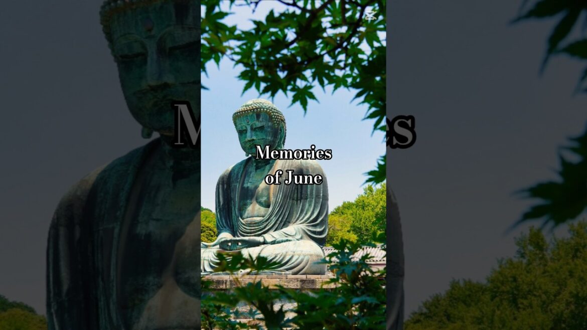 June recap #2025 #explorejapan #photography #japantravel #japan #travel #vlog #shorts #youtube #fun June recap #2025 #explorejapan #photography #japantravel #japan #travel #vlog #shorts #youtube #fun