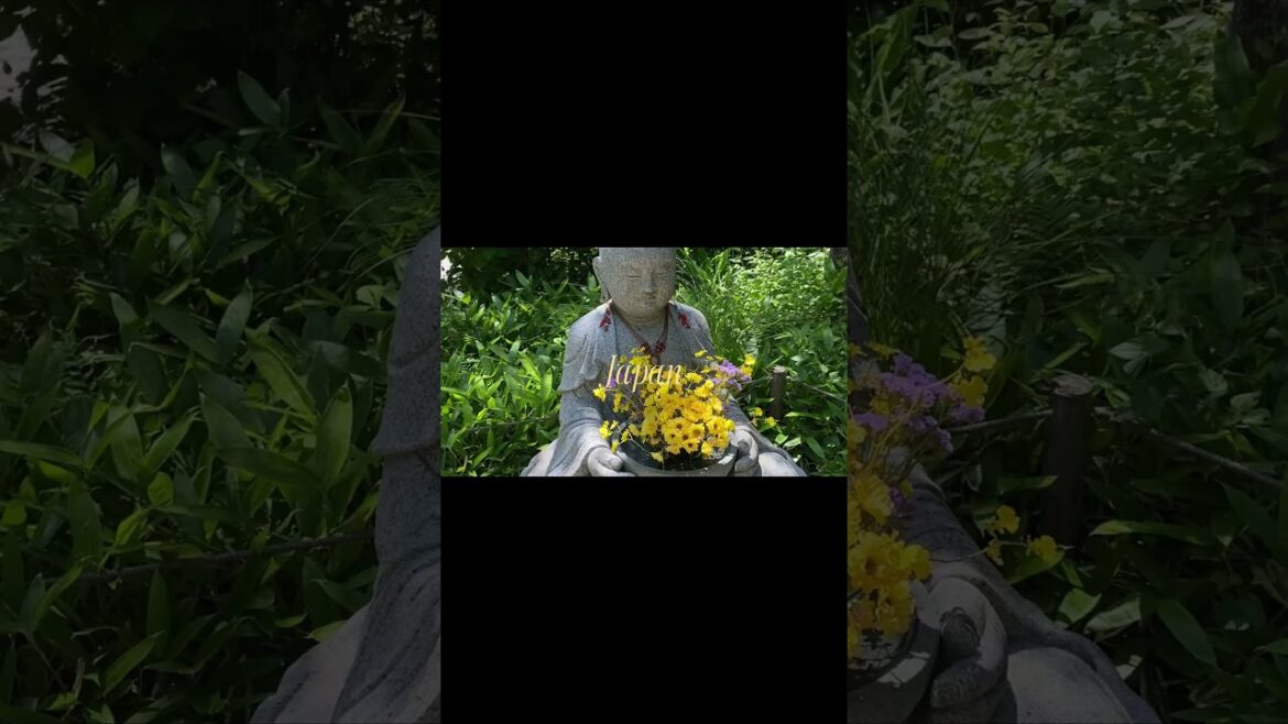 🇯🇵🤍 #kamakura #fujikawaguchiko #nara #narapark #naraparkjapan #japan #travel #traveljapan