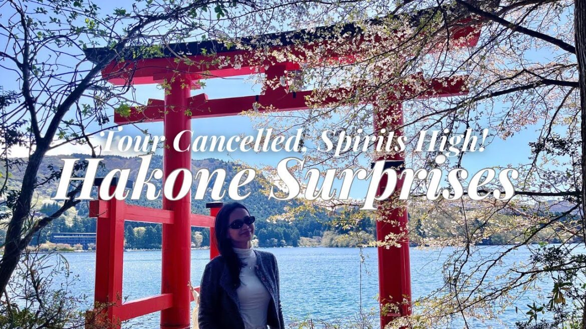 Hakone in a Day:  Pirate Ship, Volcanic Vents, Mt. Fuji & A Tour Cancellation?!