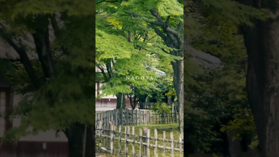나고야에서의 하루 / Japan Nagoya Travel Vlog    #나고야여행