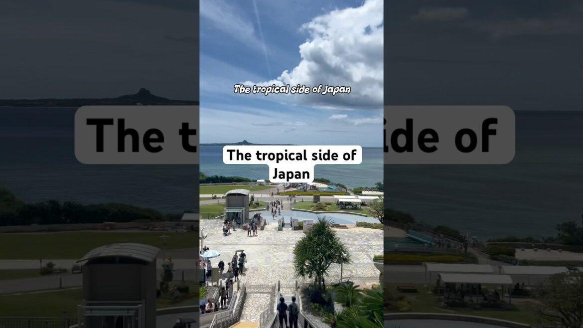 Okinawa! #travelvloggers #travel #japan #okinawa #onnaokinawa