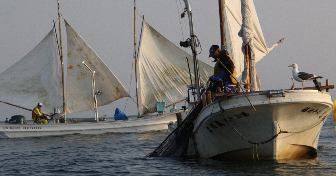 Easy Japanese news in translation: Hokkai shrimp fishing season begins in Hokkaido