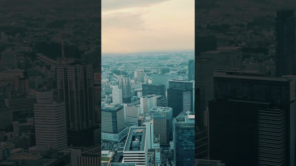 Yokohama, Japan 🇯🇵 Amazing from the sky park 🔥 😍 📸