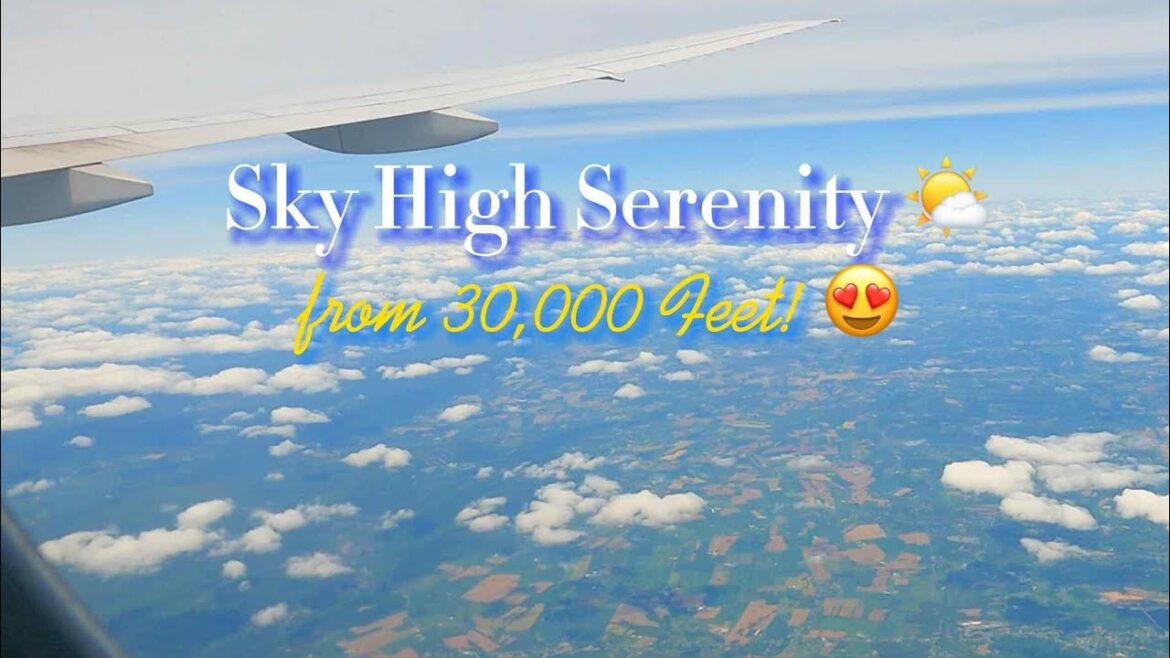 SKY High Serenity🌤️ from 30,000 feet. 🇯🇵 #live #japan #travel#subs