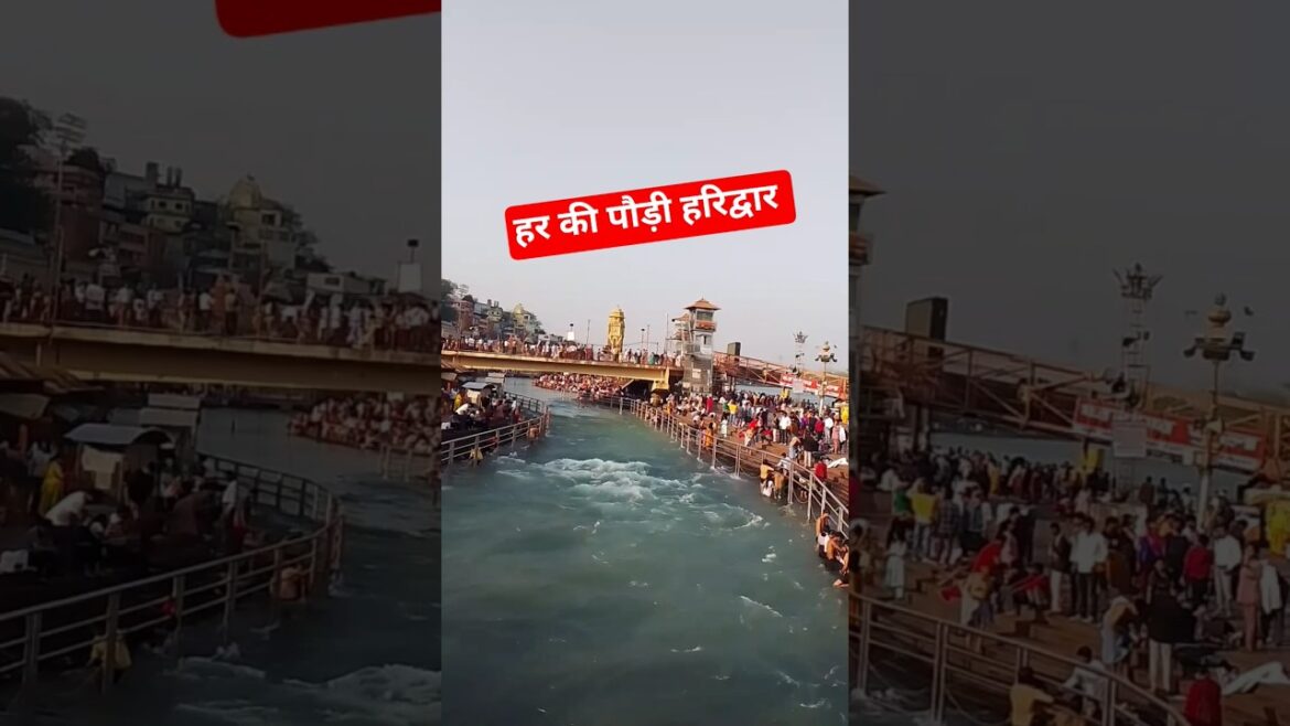 Ganga ji Me Naha lo || Haridwar Rishikesh || #viral #haridwar #travel #trending #youtubeshorts