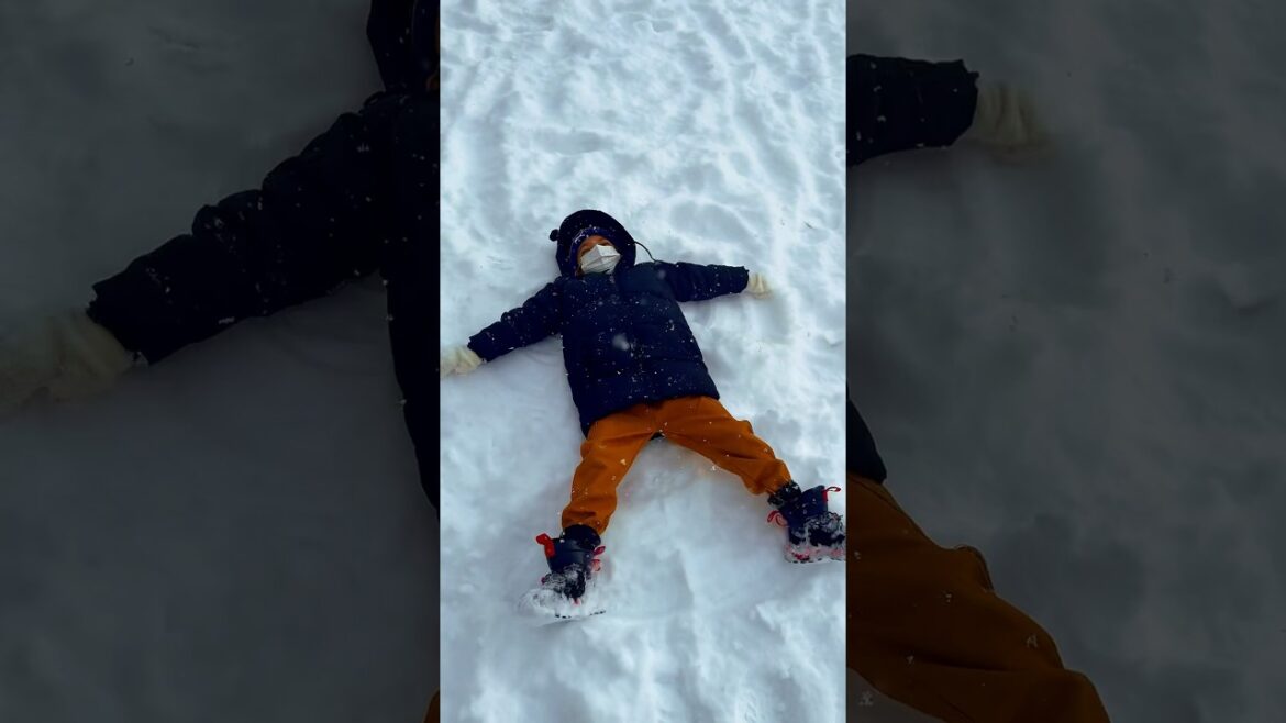 Winter Magic on Mount Moiwa | Sapporo’s Scenic Snowy Escape December 2024 Winter Magic on Mount Moiwa | Sapporo’s Scenic Snowy Escape December 2024