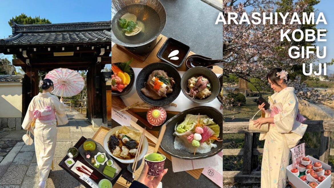 JAPAN VLOG 🌸 trying kobe beef, searching for matcha in uji, shopping at a premium outlet! JAPAN VLOG 🌸 trying kobe beef, searching for matcha in uji, shopping at a premium outlet!