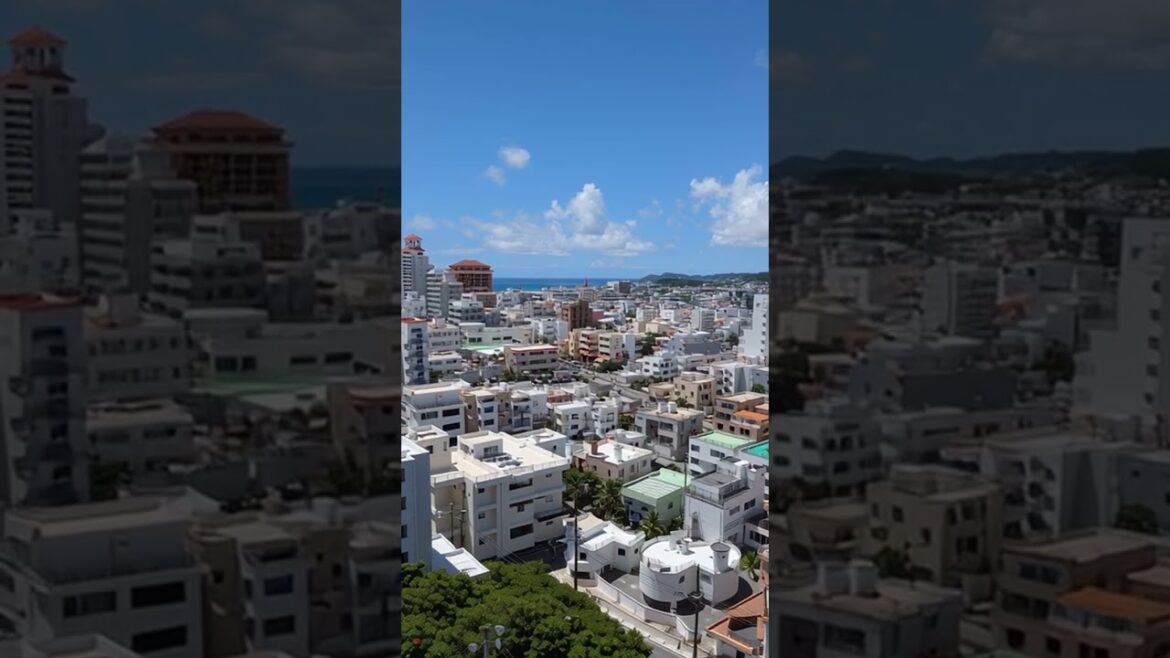 Music Series - Okinawa View [WZS] #travel #japan #relaxmusic #islandvibes #nature #healing