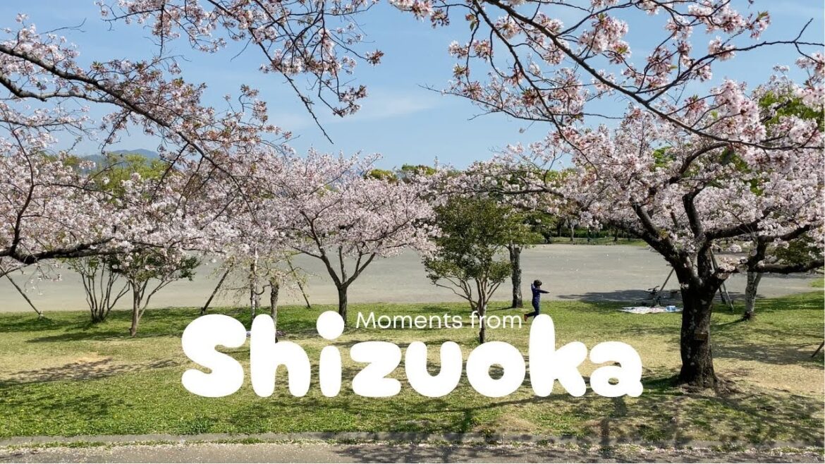 Moments from Shizuoka, Japan