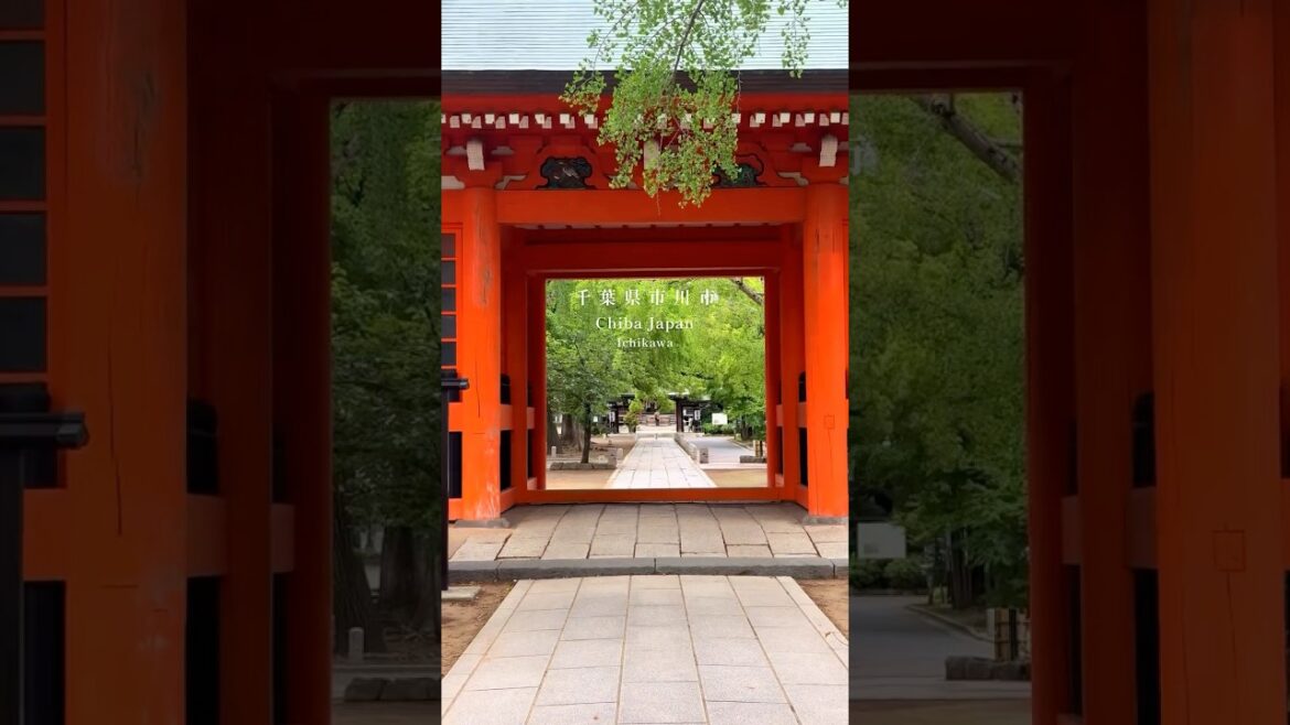 Viral Trending place visit Japan #japan #shorts #viral #trending #funny #video #travel #shortvideo Viral Trending place visit Japan #japan #shorts #viral #trending #funny #video #travel #shortvideo