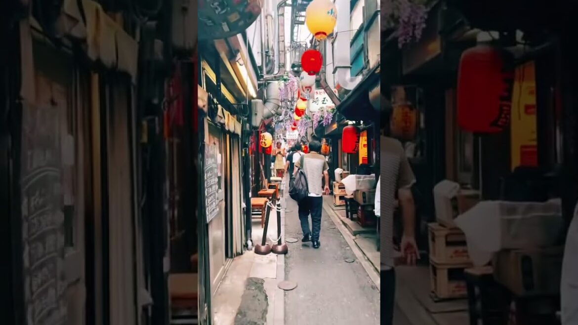 Japan vibes 🇯🇵🗾 #shorts