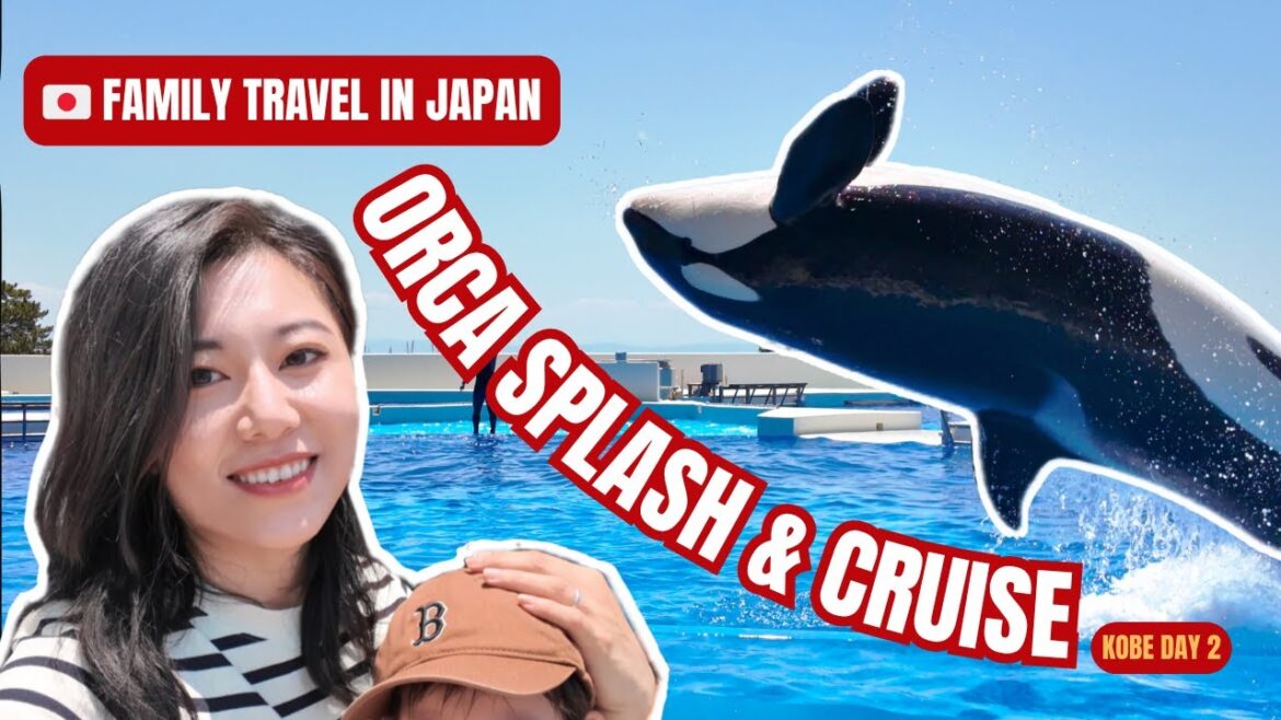 🇯🇵 Japan Travel: Whale Splash, Lobster Lunch & Cruise Fun with Our Toddler|Erica from China 🇯🇵 Japan Travel: Whale Splash, Lobster Lunch & Cruise Fun with Our Toddler|Erica from China