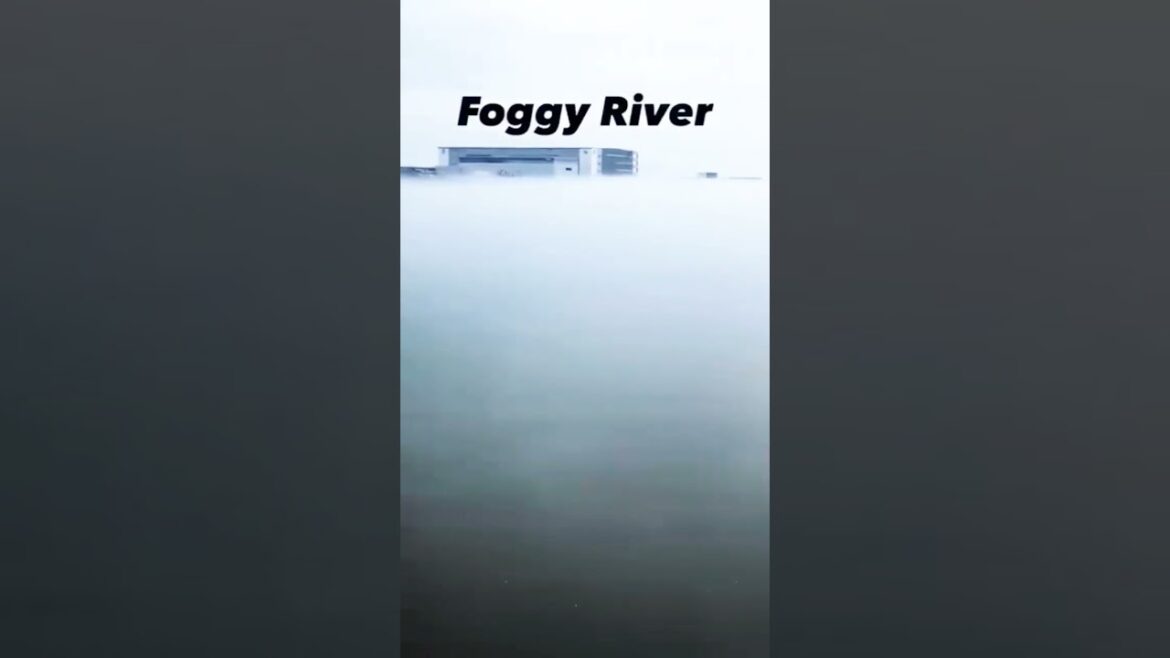 Foggy,Foggy River @ Hiroshima,Japan #shorts #shortvideo #shortvlog #japanvlog #travel #foggy #fog
