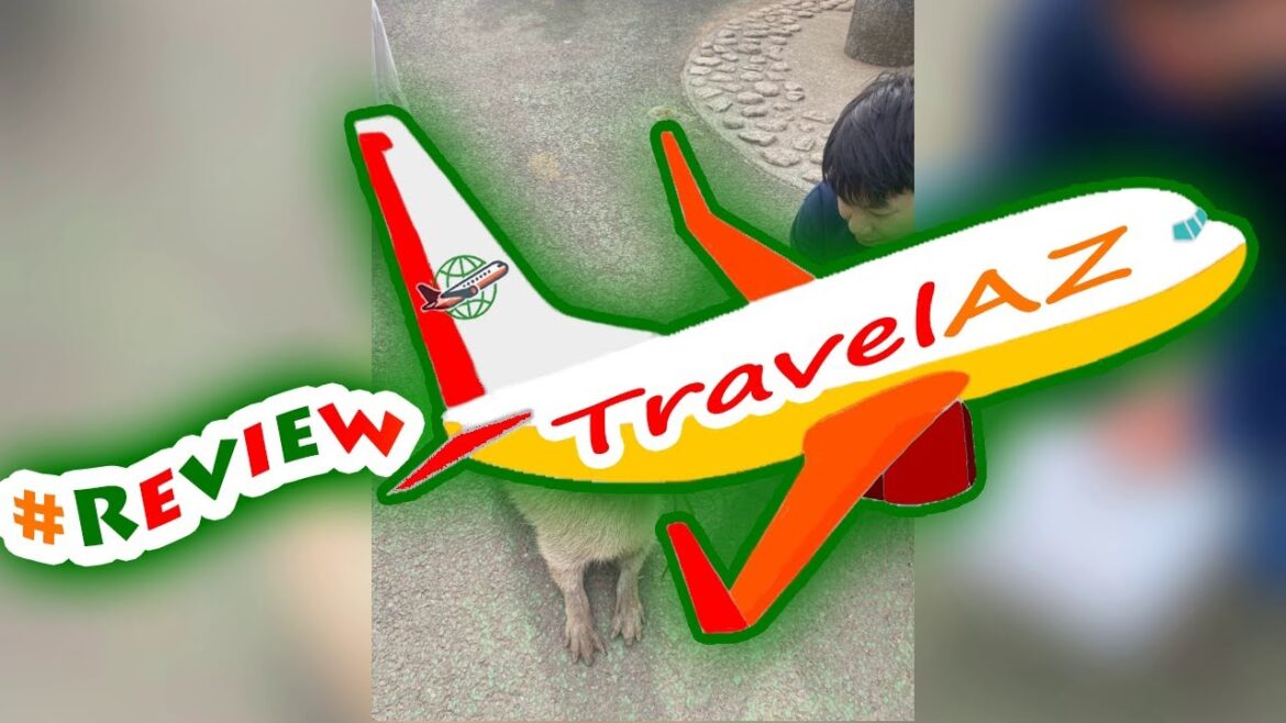 #ReviewAttraction #Review Izu Shaboten Zoo Ticket in Shizuoka #ReviewAttraction #Review Izu Shaboten Zoo Ticket in Shizuoka