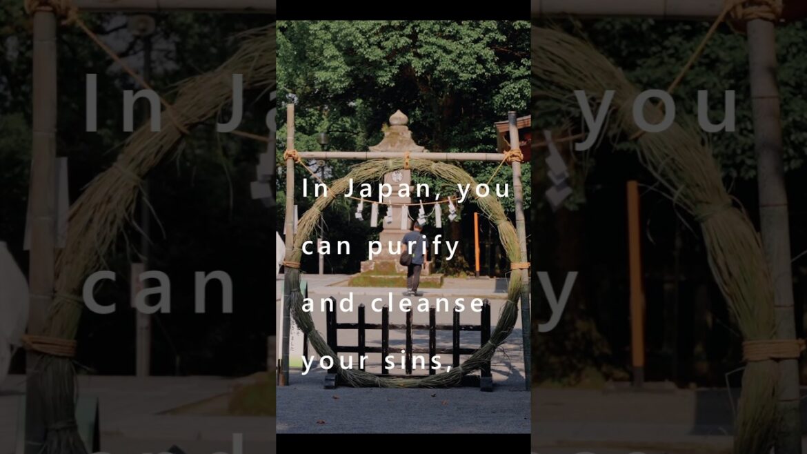 In Japan, You Can Purify Your Sins, Misdeeds Committed For the First Half of The Year. #夏越の祓 #鹿児島神宮 In Japan, You Can Purify Your Sins, Misdeeds Committed For the First Half of The Year. #夏越の祓 #鹿児島神宮