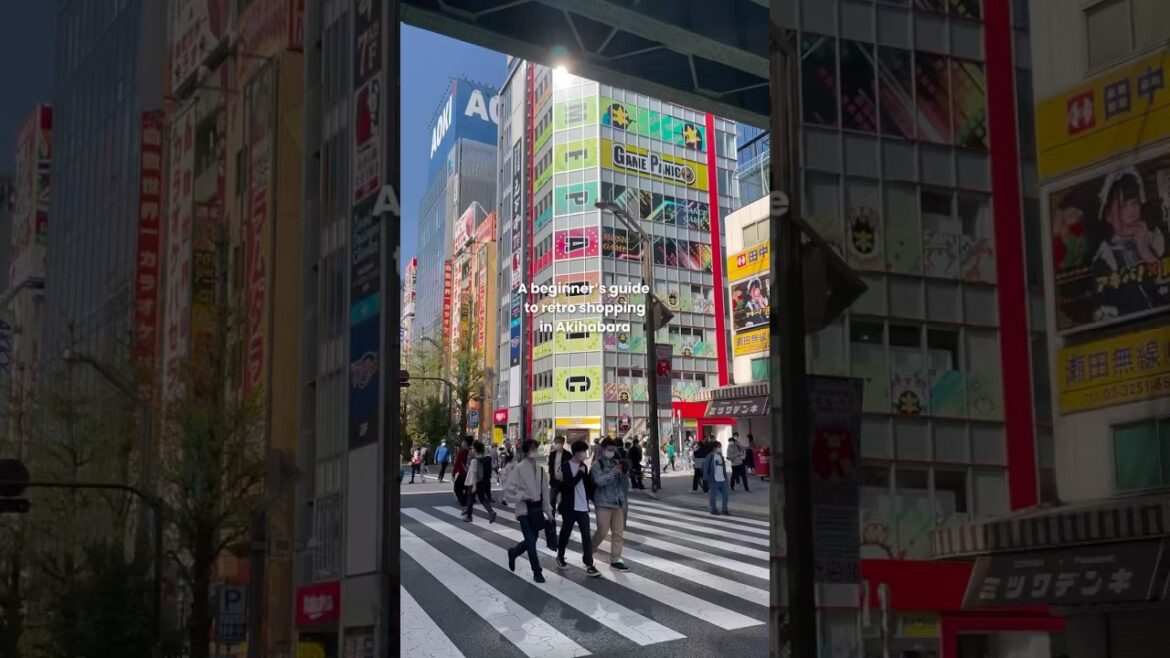 Retro shopping akihabara #japan #travel #japantravel #2025 #japanesefood #food #hotel