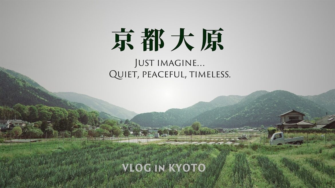 Kyoto Ohara — Imagine Walking Through Japan’s Most Peaceful Countryside | 4K Travel Vlog |京都,大原,三千院