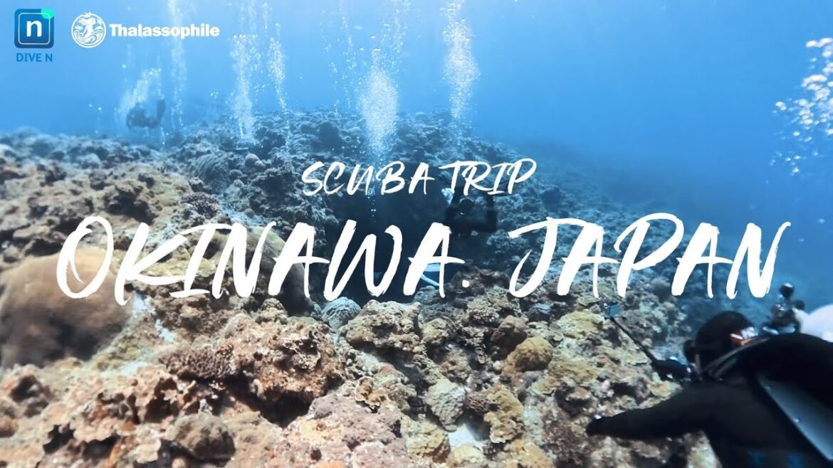 [MIYAKOJIMA JAPAN] 2025.04 THALASSOPHILE SCUBA TOUR(Feat. DIVE N)