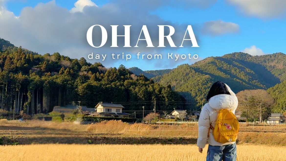 ππΎ solo trip to ohara, kyoto πΎπ || 2D1N itinerary & day trip from kyoto || japan travel vlog ππΎ solo trip to ohara, kyoto πΎπ || 2D1N itinerary & day trip from kyoto || japan travel vlog