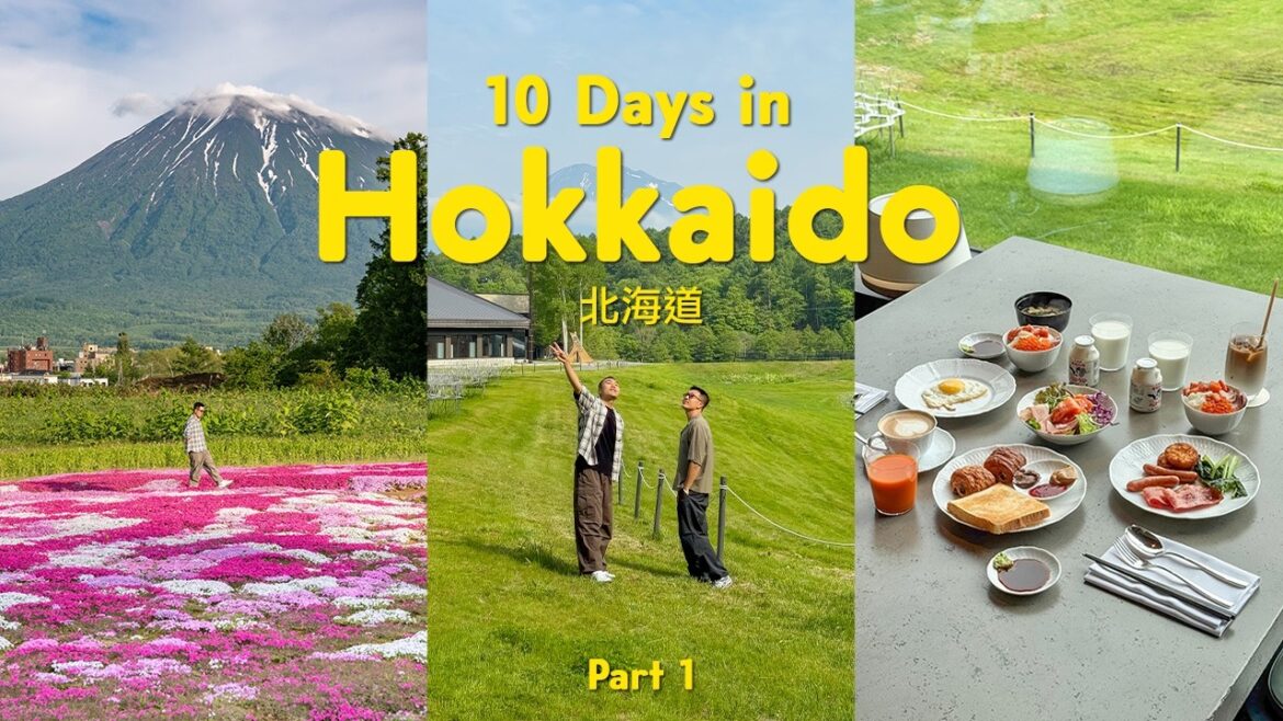 10 days in Hokkaido 🇯🇵 北海道 (must-eat, summer roadtrip, photo spots, flower field) | japan trip 10 days in Hokkaido 🇯🇵 北海道 (must-eat, summer roadtrip, photo spots, flower field) | japan trip
